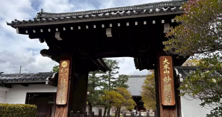 京都市内とは思えない静けさ「大本山妙顕寺」の特別公開で過ごす贅沢な時間