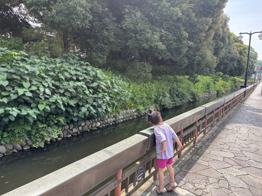 鑁阿寺のお堀ばたを子どもと歩く様子