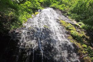 福井県池田町の龍双ヶ滝