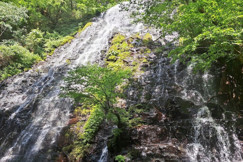 滝の下から見上げた龍双ヶ滝