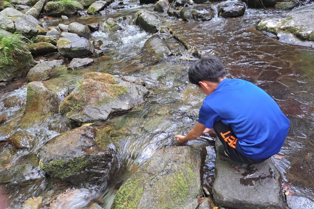 龍双ヶ滝の水に触れる様子