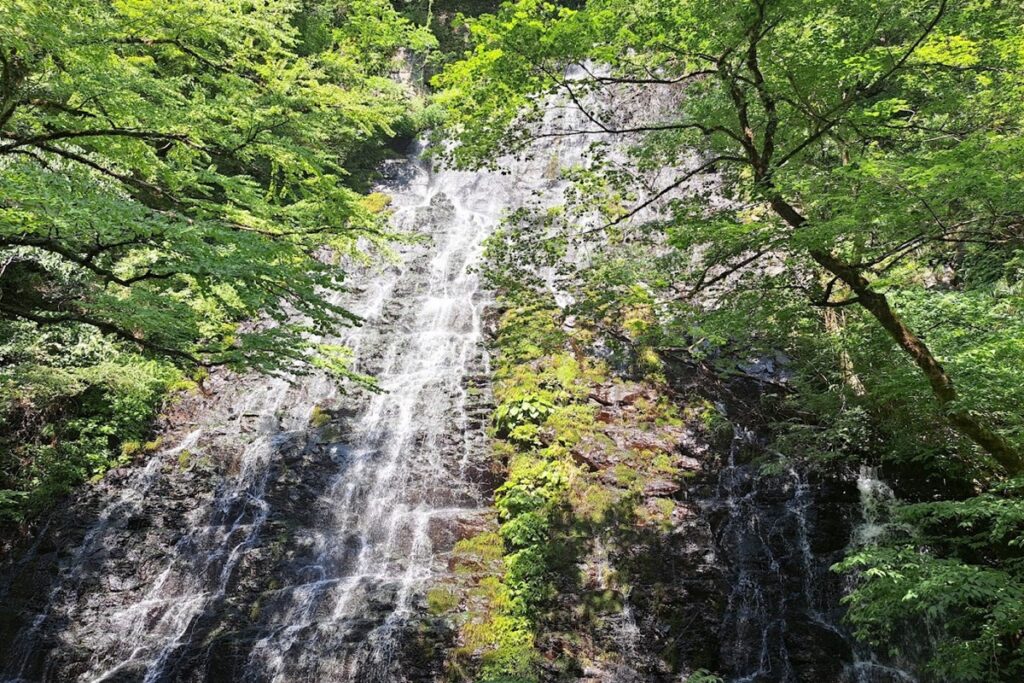 緑に囲まれた龍双ヶ滝