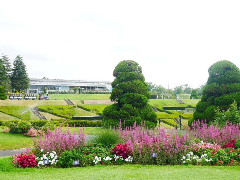 噴水池を見下ろす花壇も彩り鮮やか