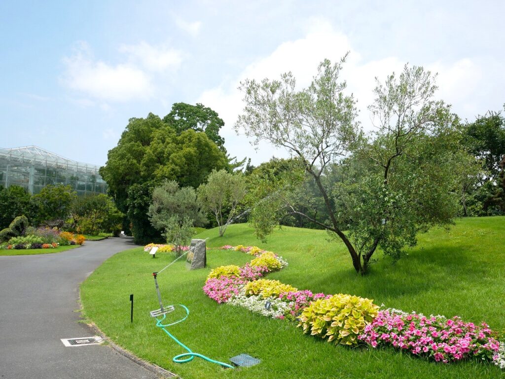 木下恵介生誕100年碑での散水風景