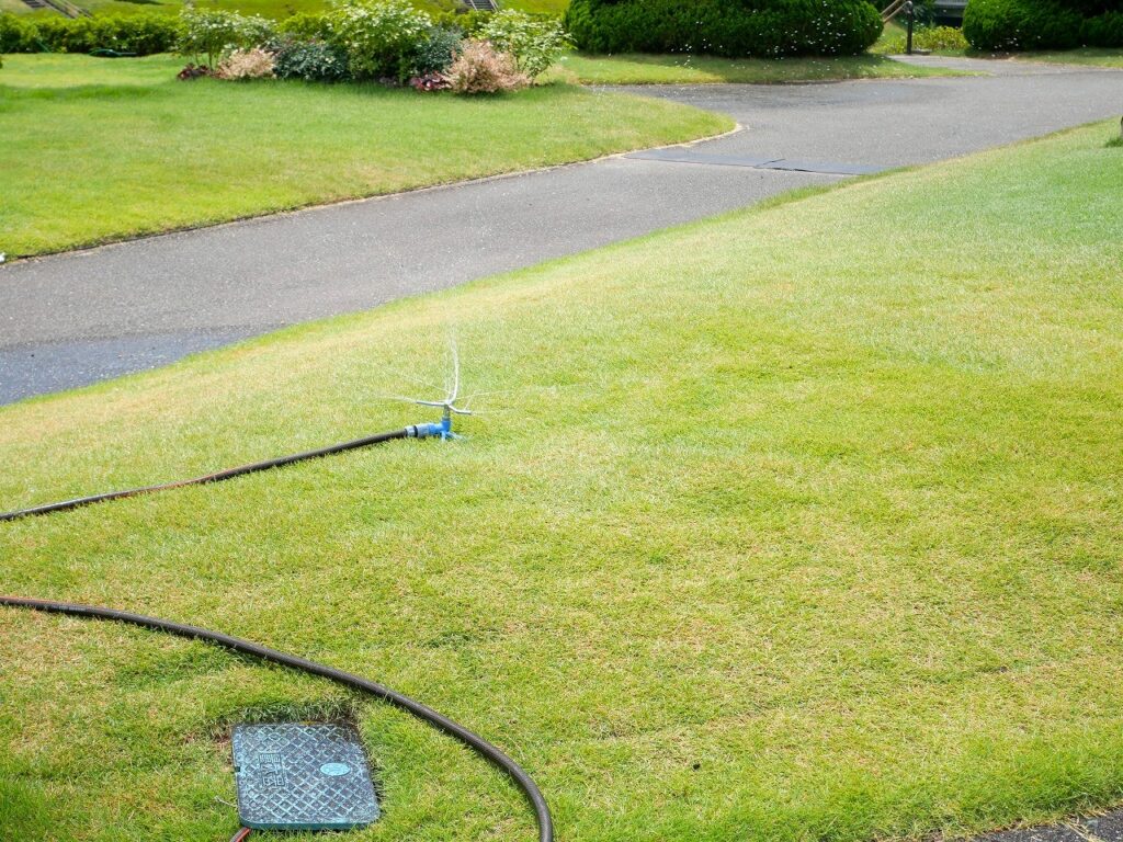 散水中の芝生用スプリンクラー