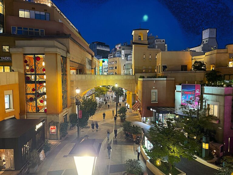 【神奈川県】川崎駅東口の複合商業施設「ラ チッタデッラ」の魅力とは？