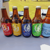 RICE HACK BREWERY