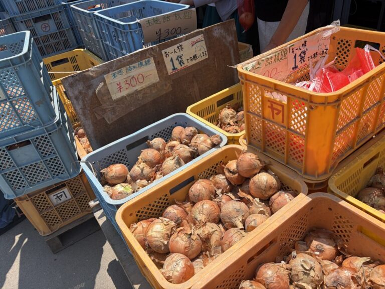 【兵庫県南あわじ市】何個詰められる？淡路島・山本商店の玉ねぎ詰め放題を体験！
