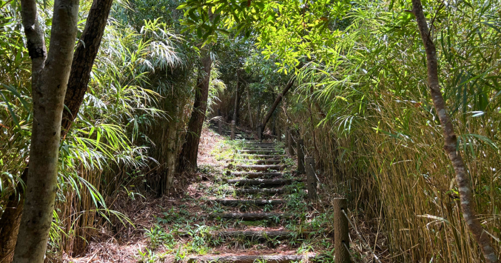 登山コース