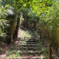 登山コース