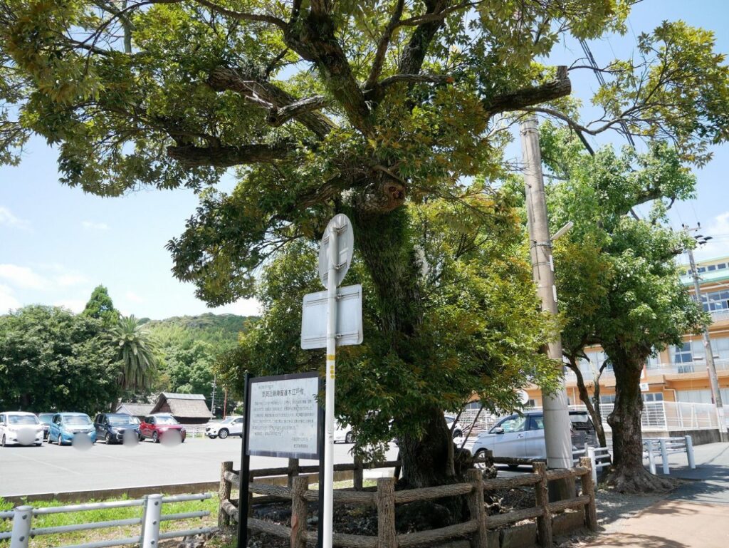 気賀近藤陣屋遺木江戸椎