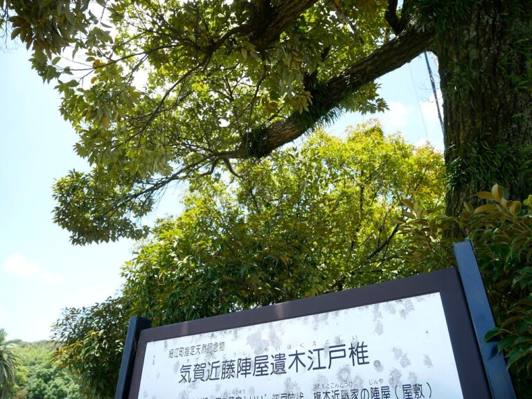 戦国～江戸時代まで！ 天浜線・気賀駅周辺の史跡めぐり散歩を楽しむ│静岡県浜松市