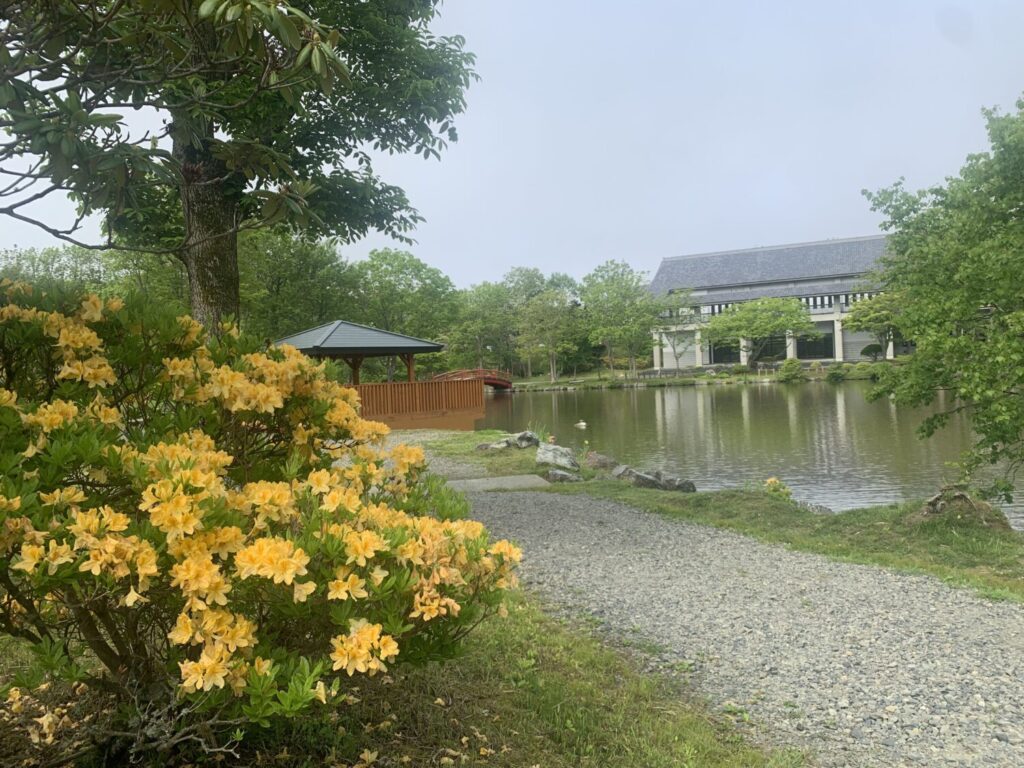 和菓子と一緒に公園散歩を楽しむ