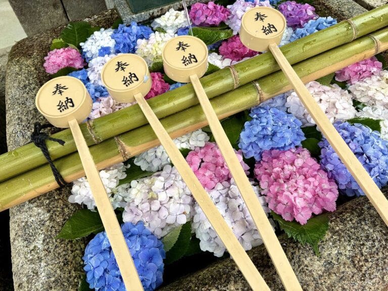 【京都府京都市】あじさいの宮と馬のゆかりを訪ねて｜勝運の神様として親しまれる藤森神社
