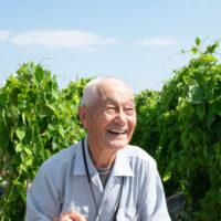 【広島県福山市】「ダイジョイモ」を未来につなぐため、87歳は毎日自転車で1時間半かけて畑に通う