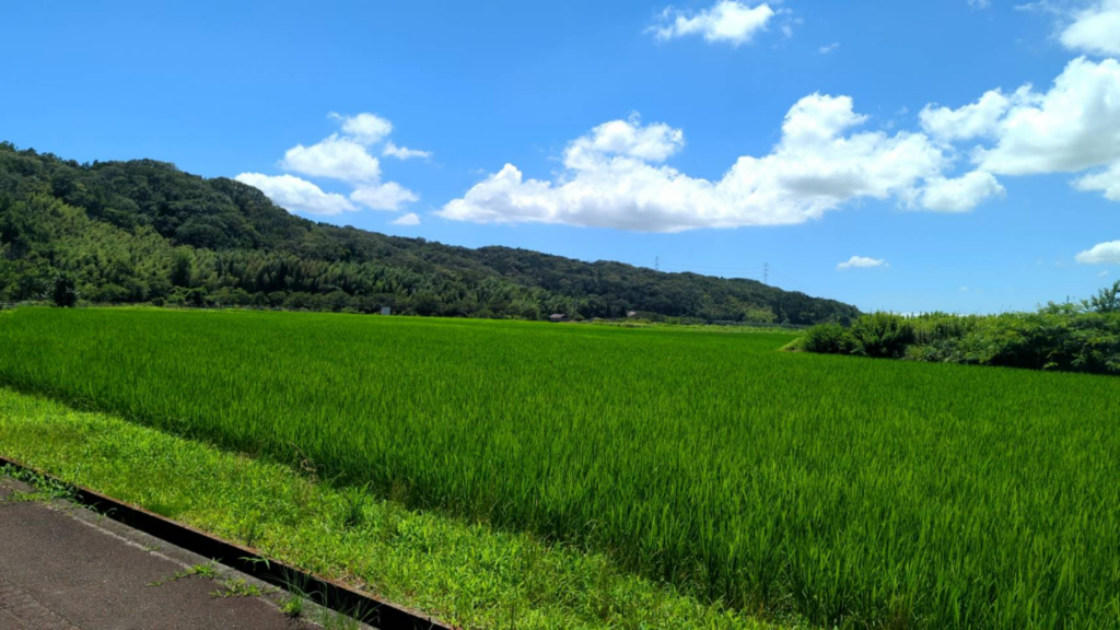 自然を感じる神戸の里山の風景